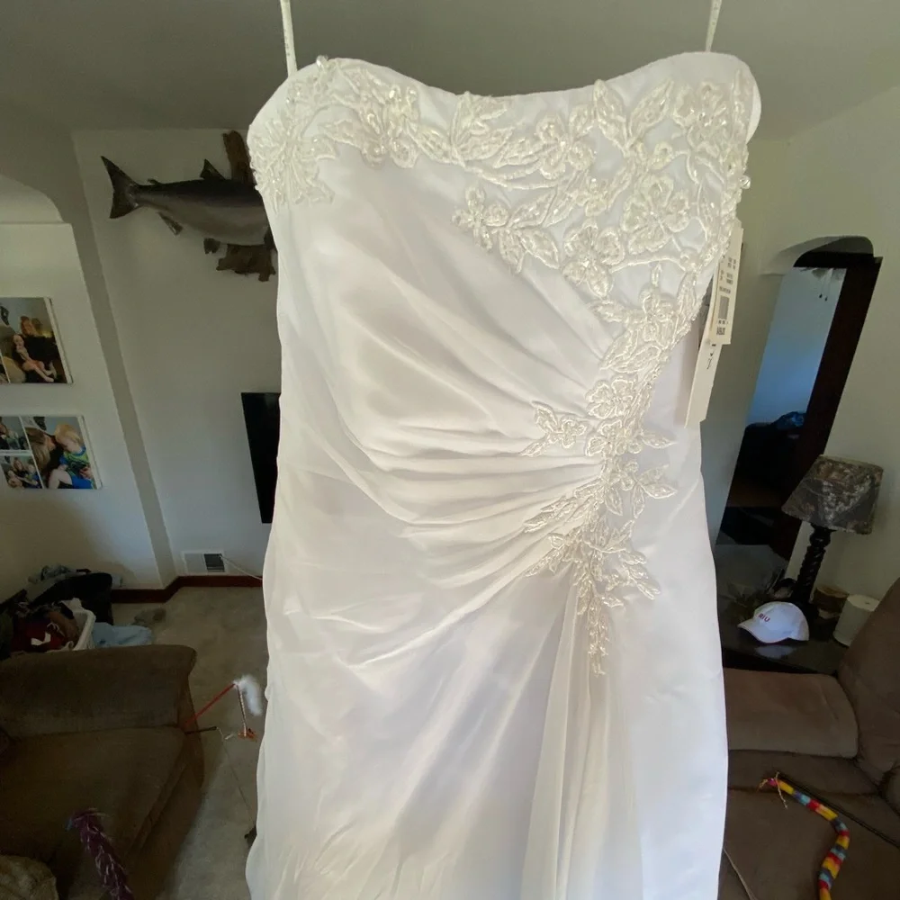 David’s Bridal Wedding Dress - Picture 8 of 11